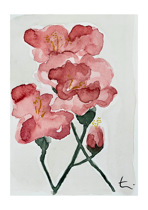 Limited Print - Postcard 10 - 'Blooming through la rosée matinale'