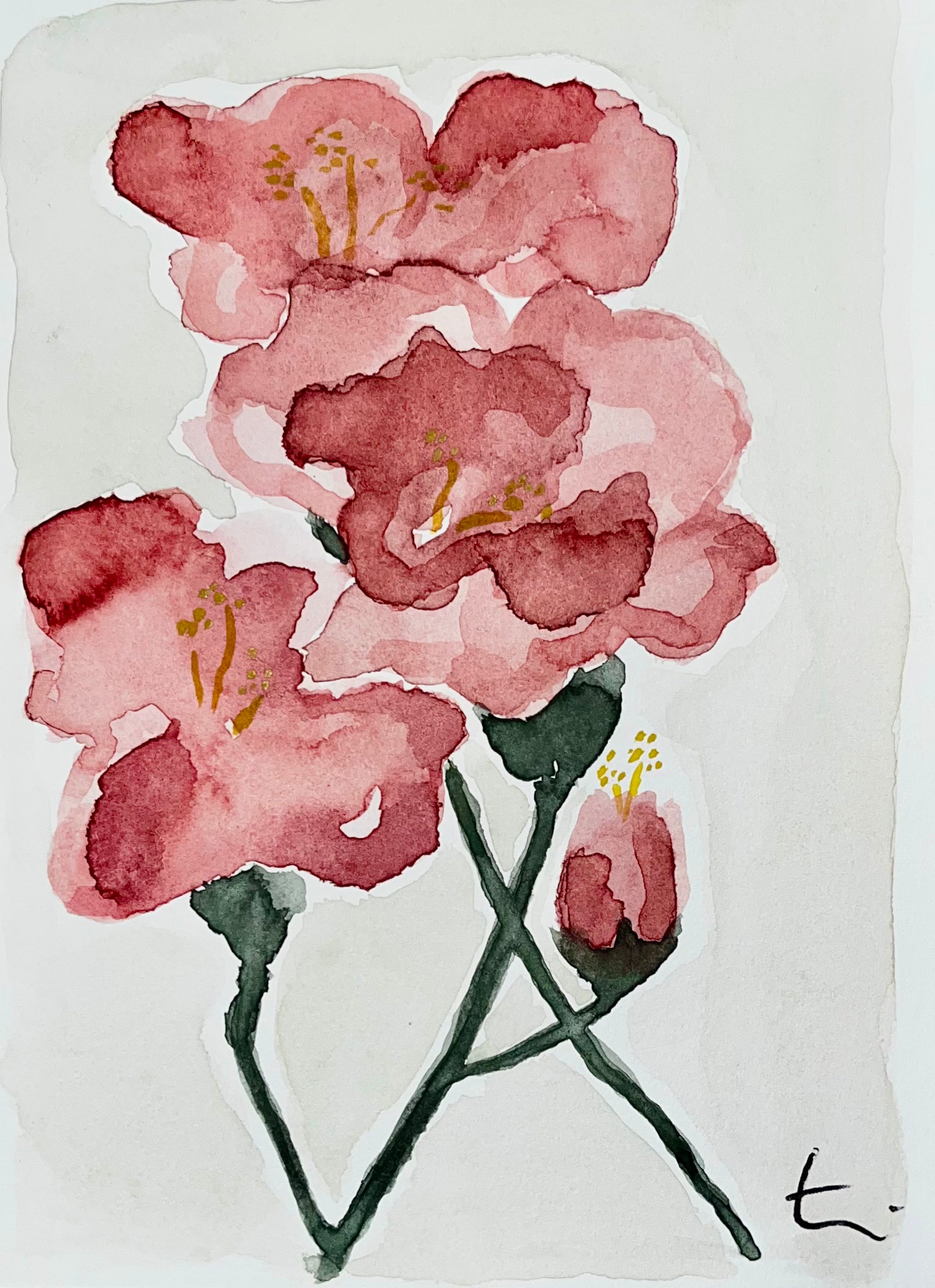 Original - Postcard 10 - 'Blooming through la rosée matinale'